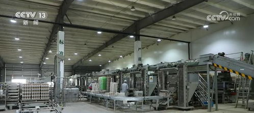 一朵小蘑菇帶動千億大產業(yè) 中國造 裝備助力鄉(xiāng)村振興